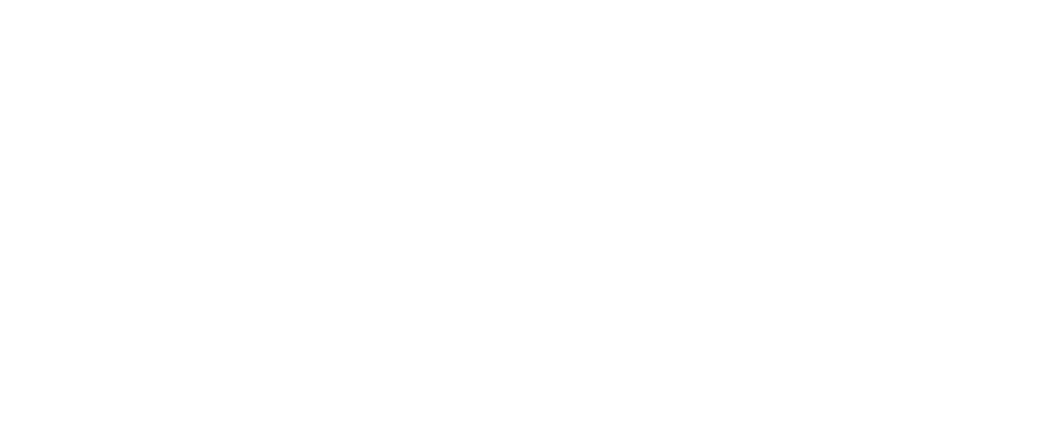 Celv Store Logo